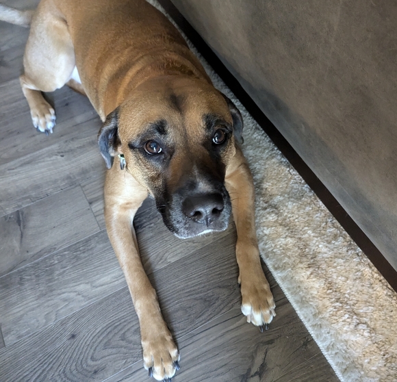 THRESHOLD Stocking Wool Blend - Picture 7 of 7